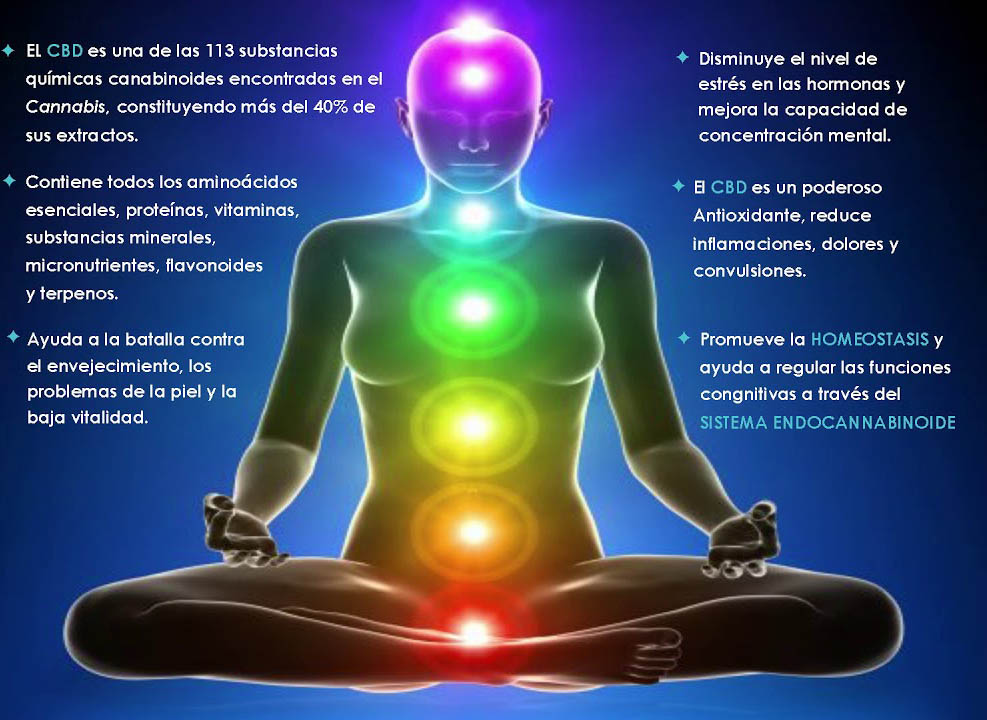 Epilepsia y fobia social