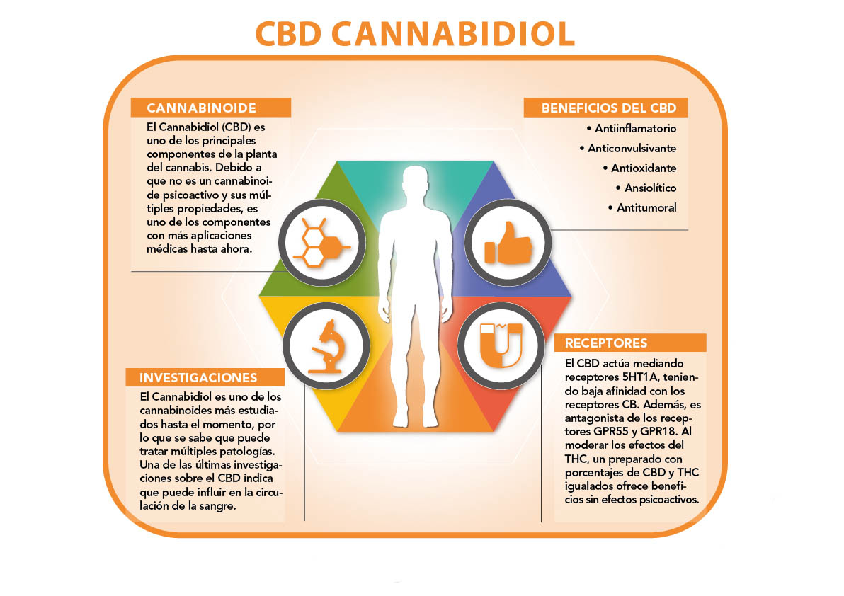 QUE ES EL CBD Y SUS EFECTOS TERAPEUTICOS